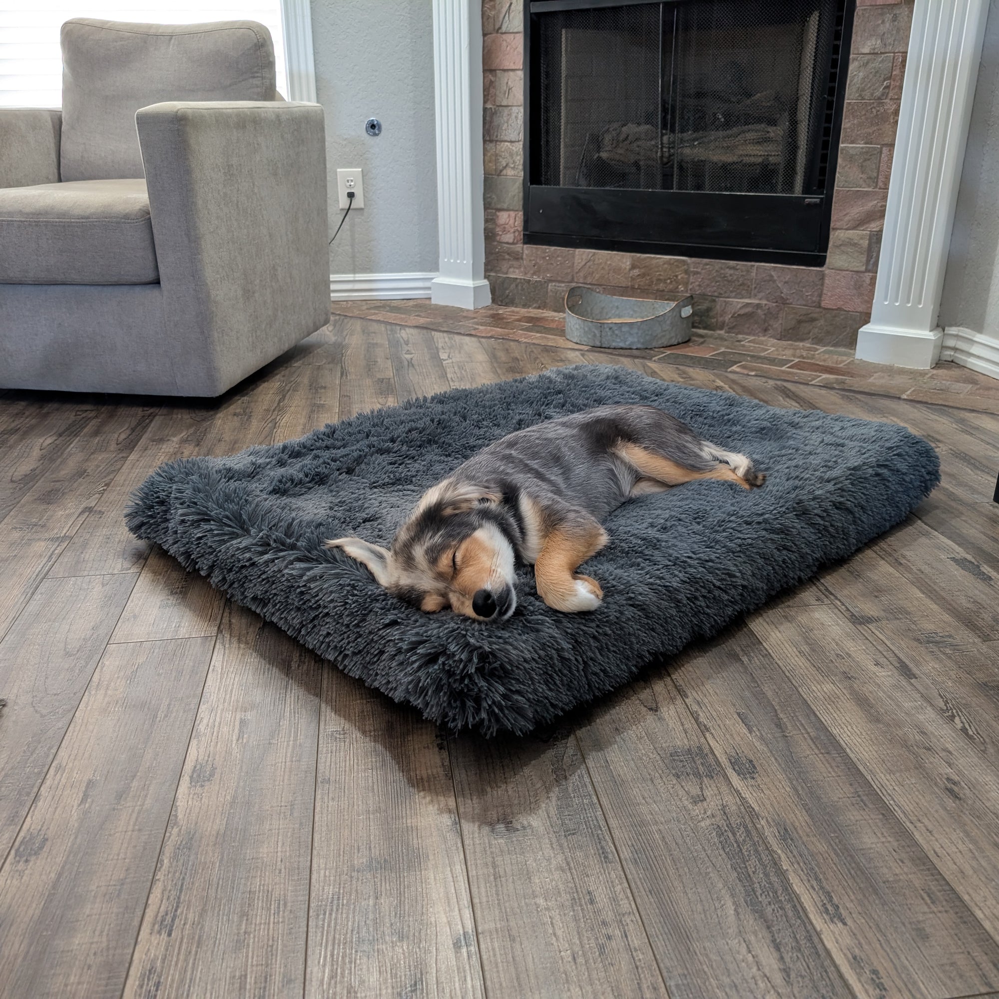 Plush Pet Bed, Large
