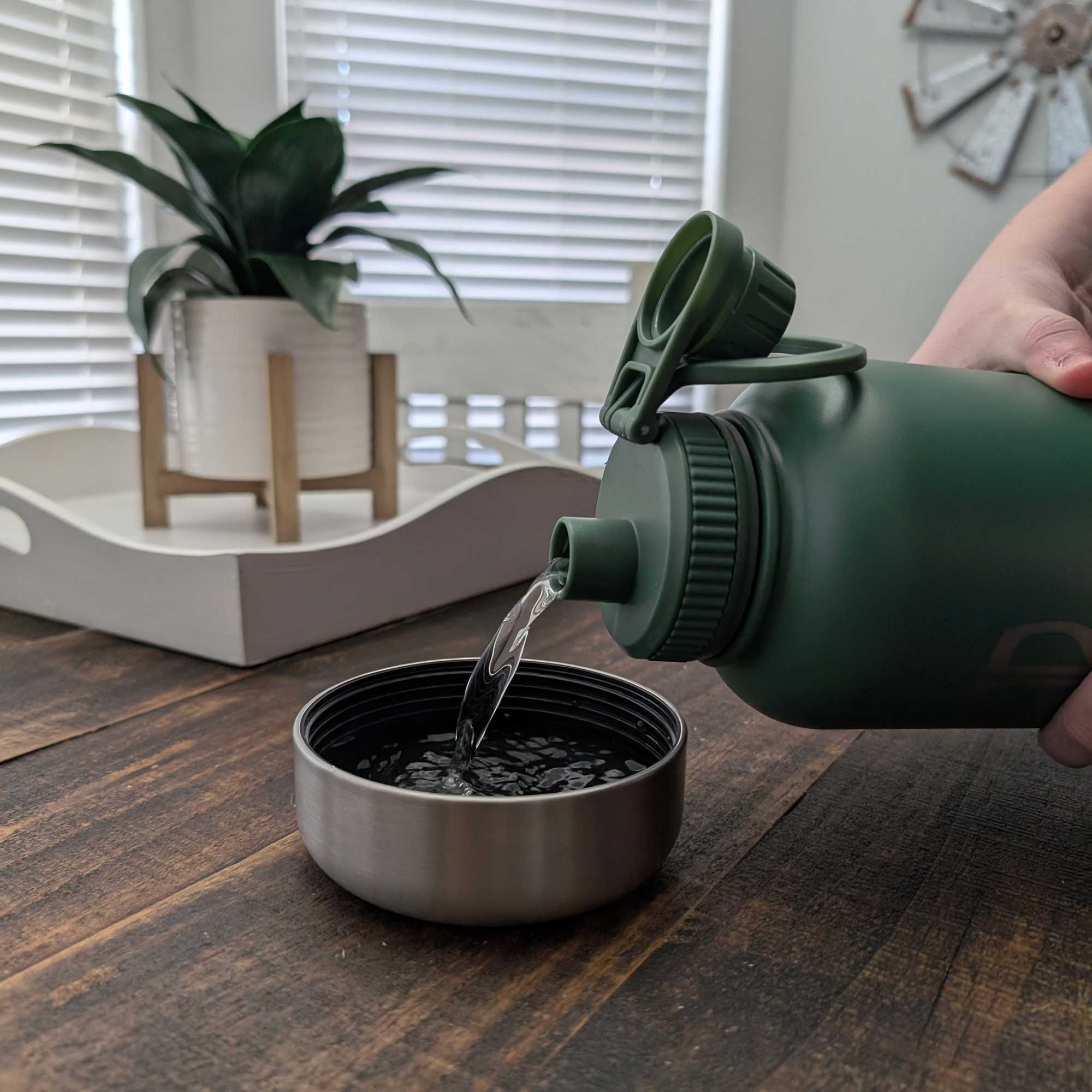 3 in 1 Pet Feeder and Water Bottle