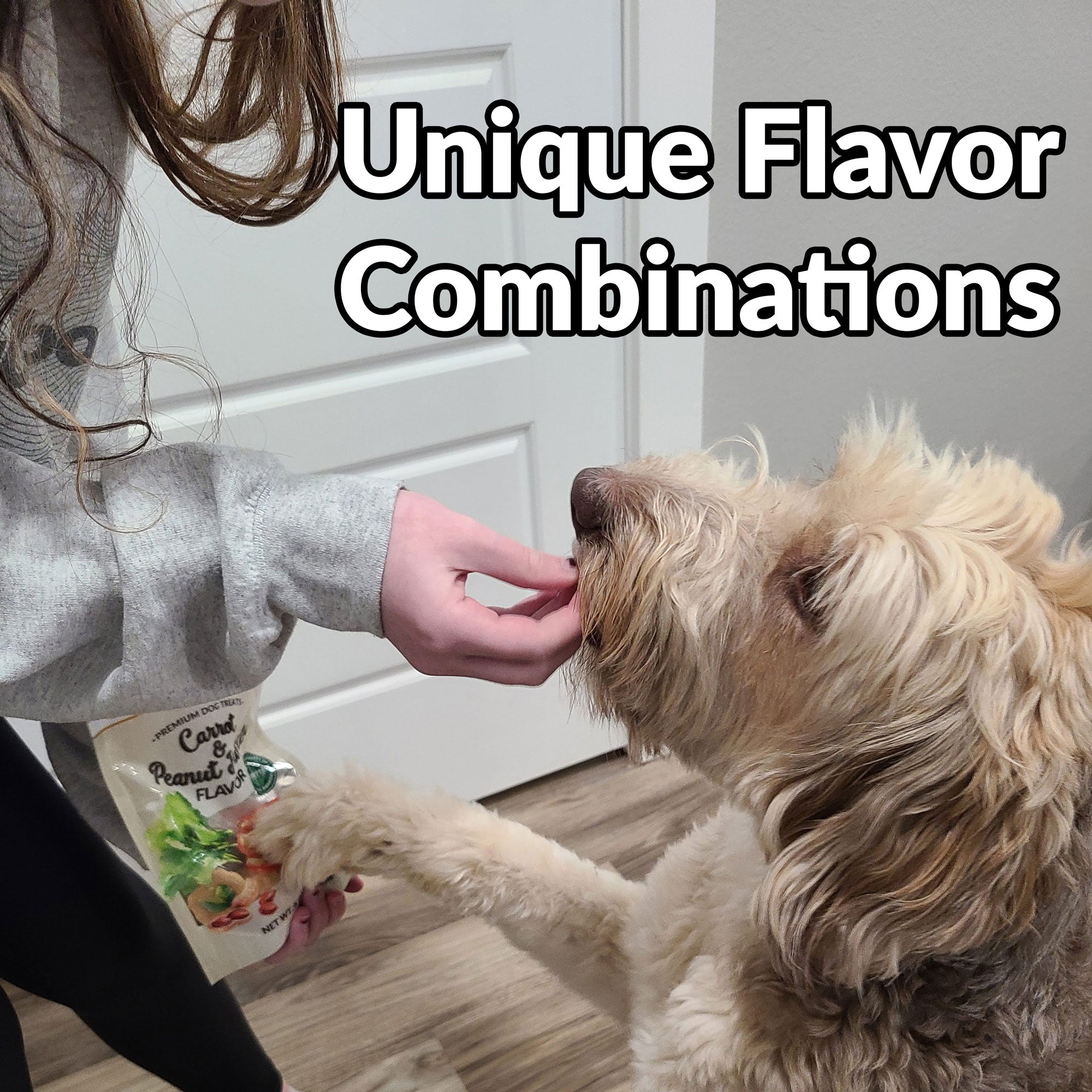 Dig Defence Premium Dog Treats - Variety Pack - Case of 6