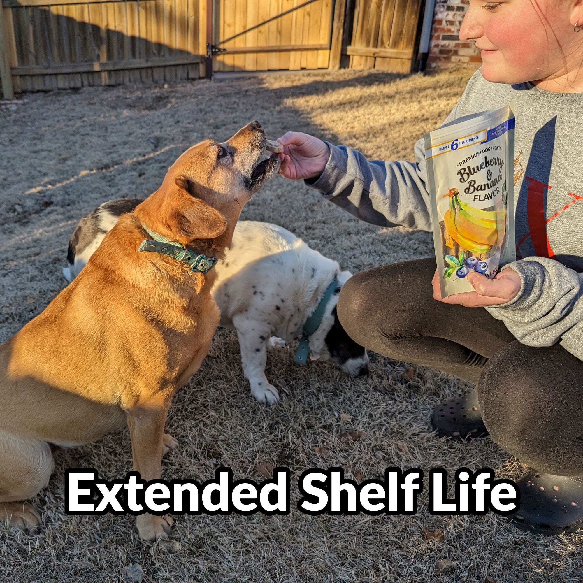 Dig Defence Premium Dog Treats - Sweet Potato/Apple - Case of 6