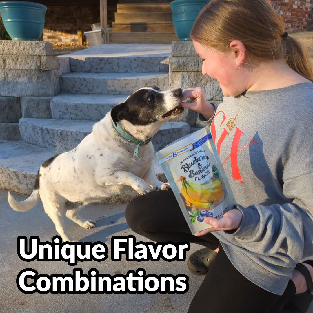 Dig Defence Premium Dog Treats - Sweet Potato/Apple - Case of 6