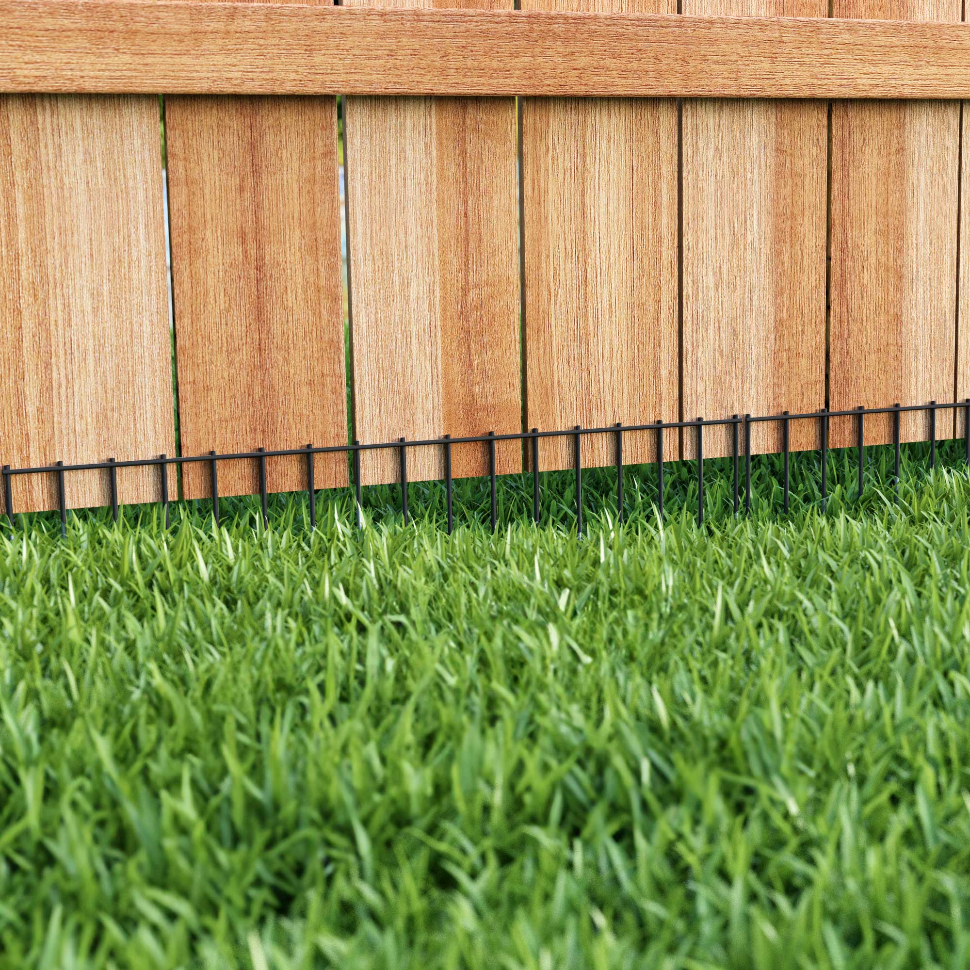 Dog digging outlet fence