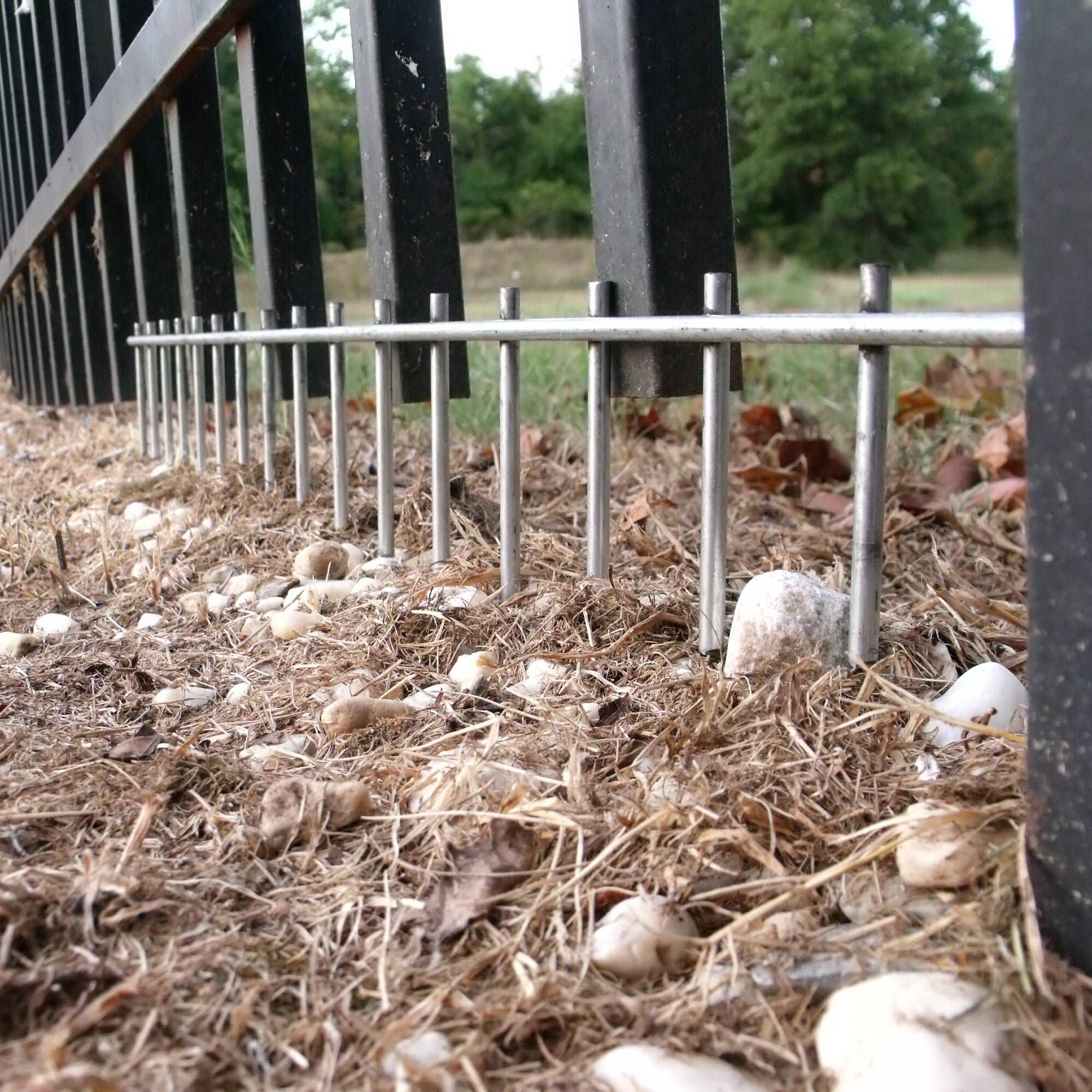 Fencing to keep outlet dogs from digging under